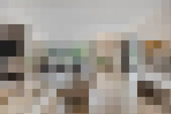 De Boog 2 Schagen foto 2