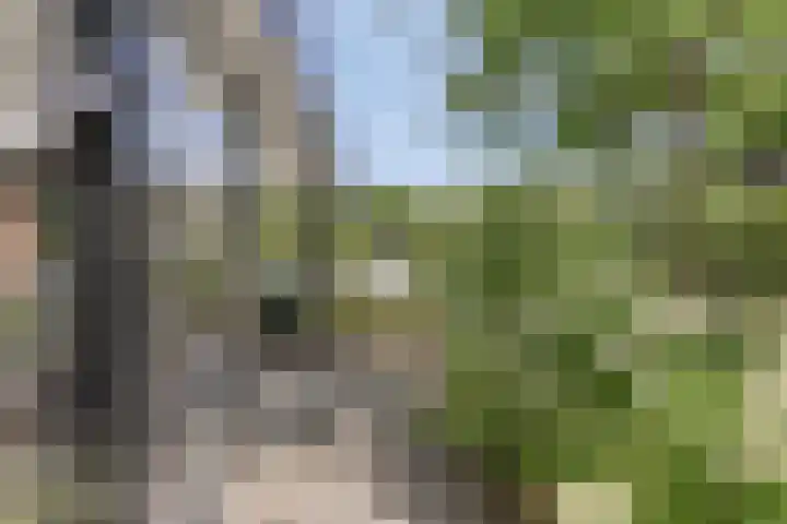 De Boog 2 Schagen thumbnail 59