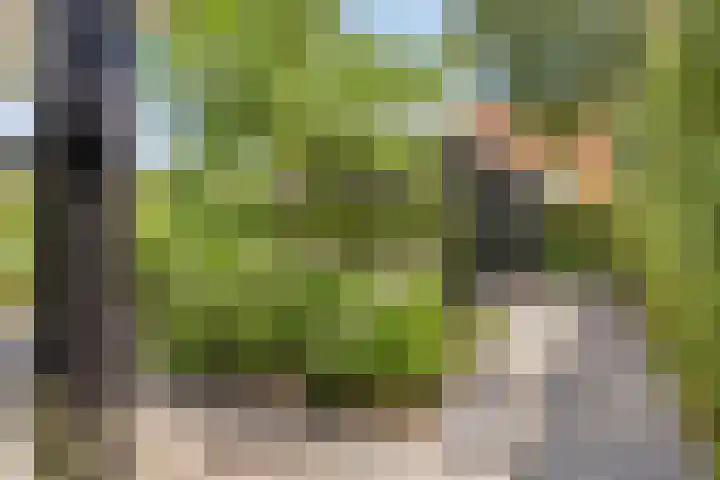 De Boog 2 Schagen thumbnail 66