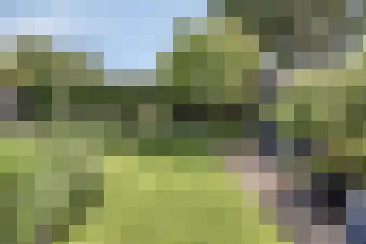 De Boog 2 Schagen thumbnail 67