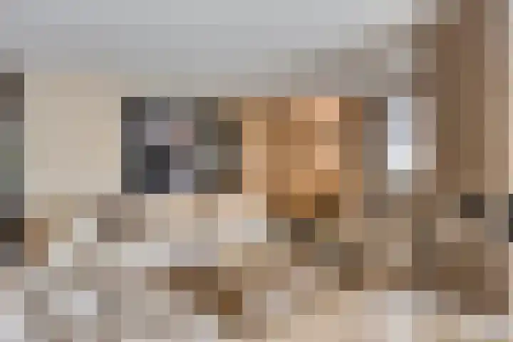 De Boog 2 Schagen thumbnail 7