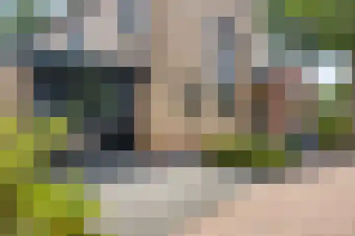 De Boog 2 Schagen thumbnail 70