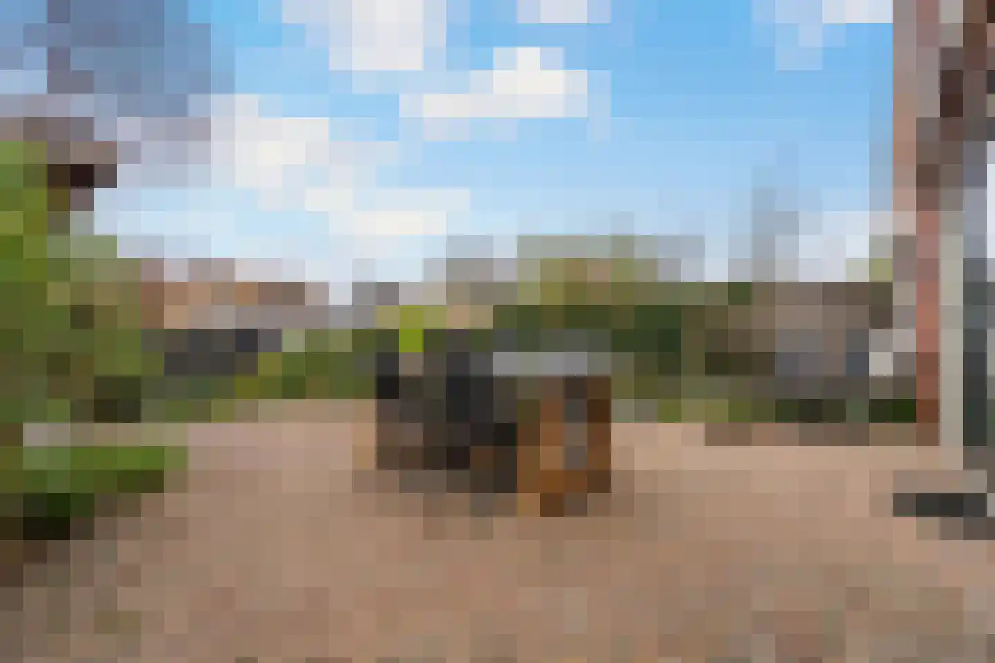 De Boog 34 Heiloo thumbnail 13