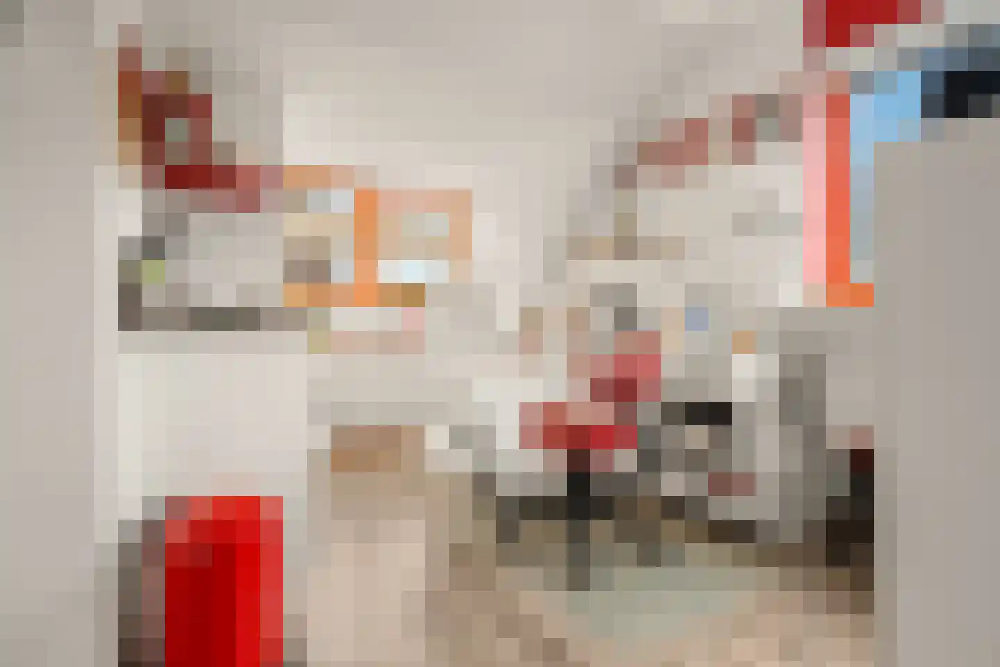 De Boog 34 Heiloo thumbnail 20