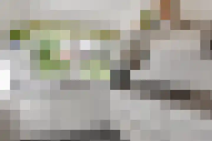 De Boog 36 Heiloo thumbnail 18