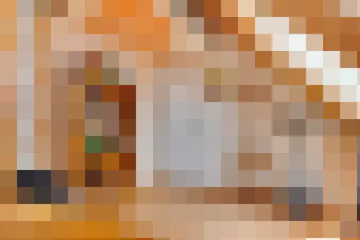 De Boog 36 Heiloo thumbnail 33