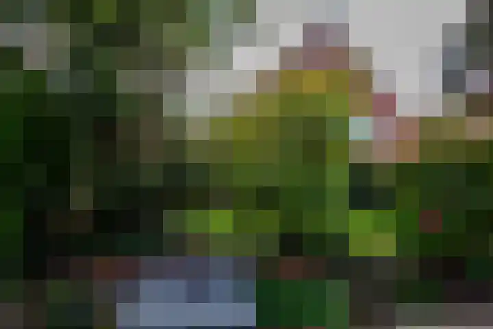 De Boog 36 Heiloo thumbnail 38