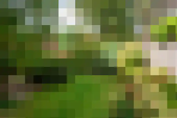 De Boog 36 Heiloo thumbnail 39