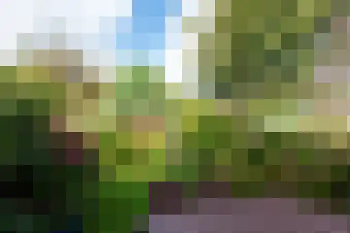 De Boog 36 Heiloo thumbnail 41