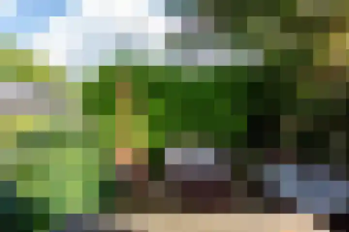 De Boog 36 Heiloo thumbnail 44