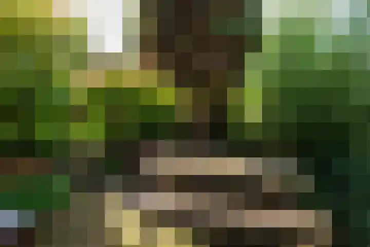 De Boog 36 Heiloo thumbnail 46