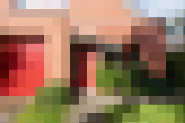 De Boog 36 Heiloo thumbnail 49