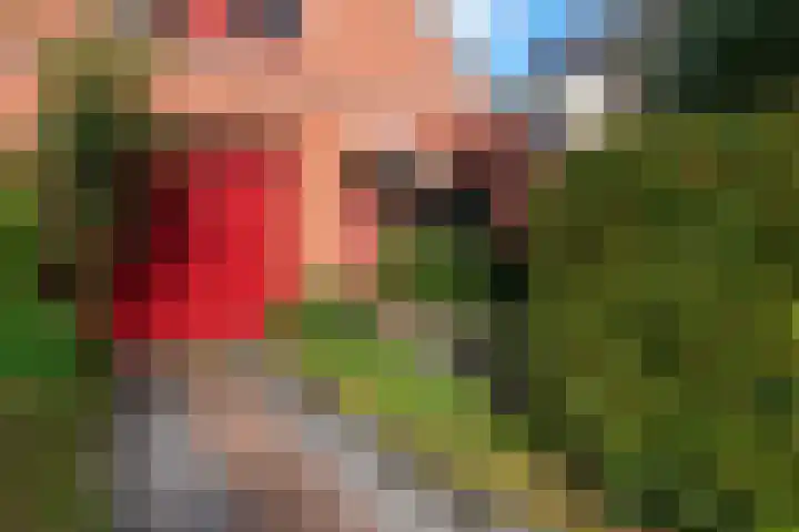 De Boog 36 Heiloo thumbnail 50
