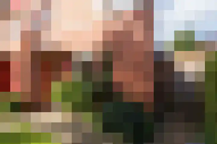 De Boog 36 Heiloo thumbnail 51