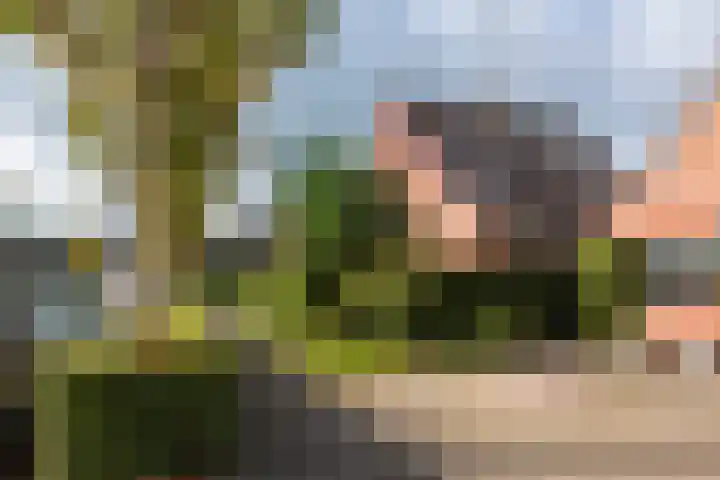 De Boog 36 Heiloo thumbnail 53
