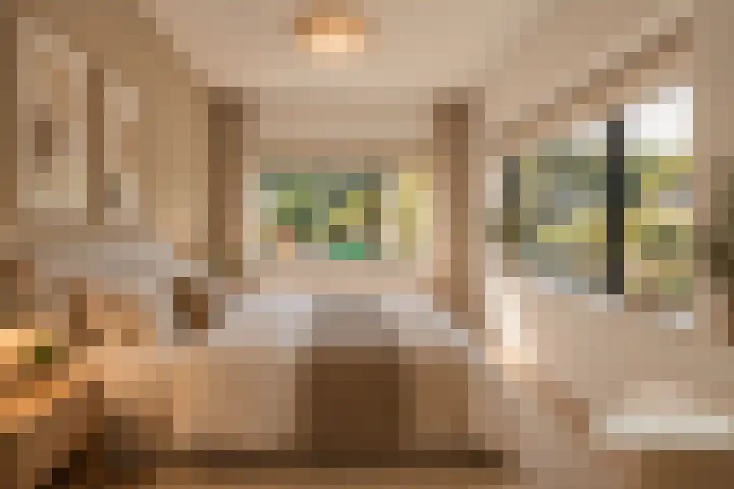 De Boog 47 Heiloo thumbnail 24