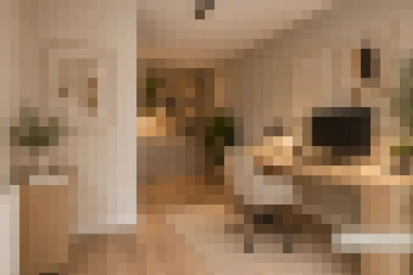 De Boog 47 Heiloo thumbnail 34