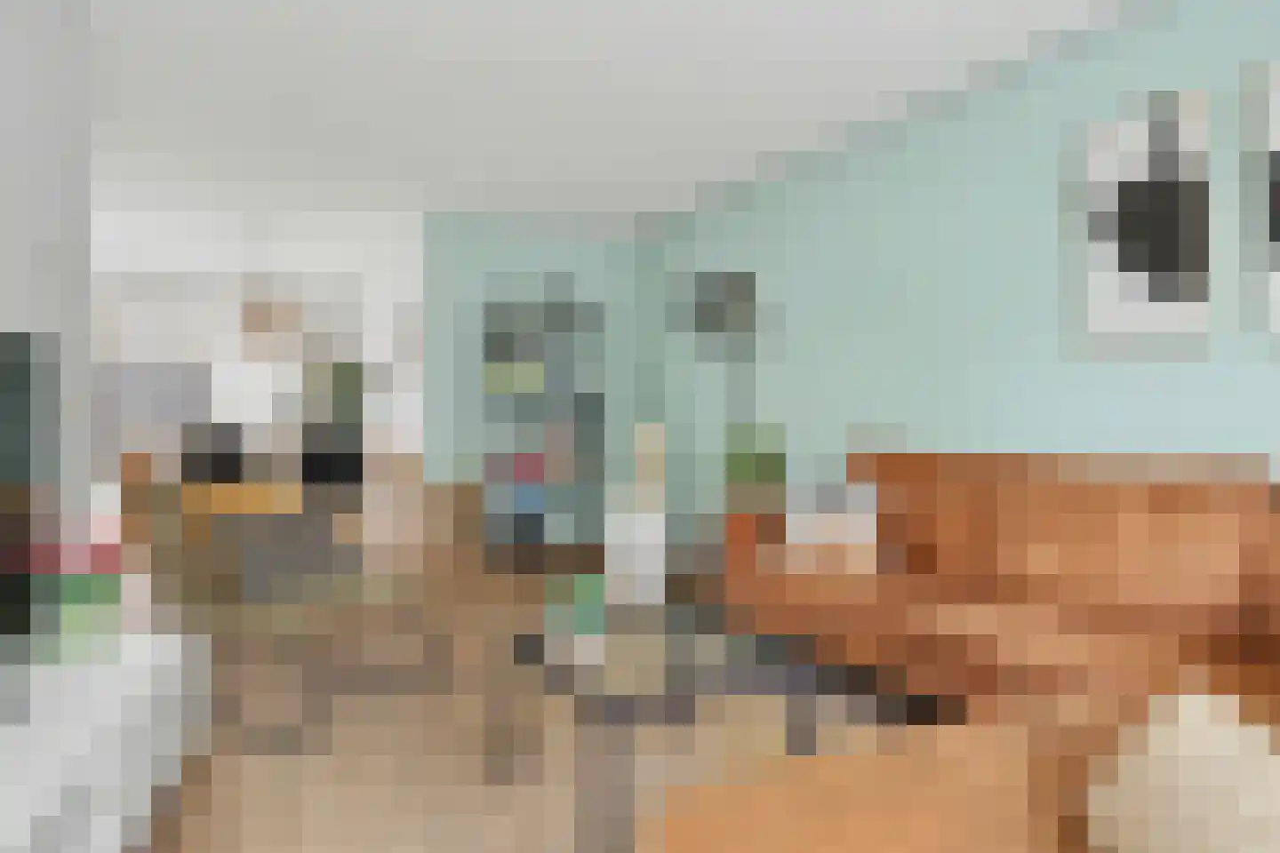 De Boog 51 Schagen thumbnail 10