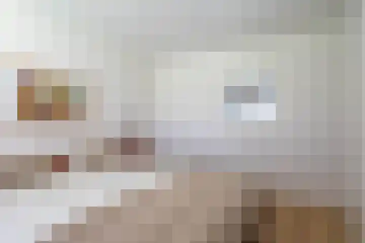 De Boog 76 Heiloo thumbnail 13