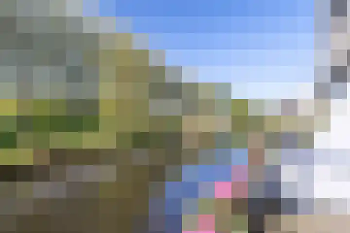 De Boog 76 Heiloo thumbnail 19