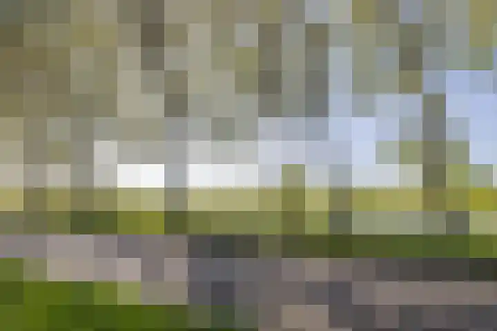 De Boog 76 Heiloo thumbnail 24