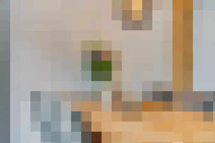 De Boogerd 12 Zuilichem thumbnail 12