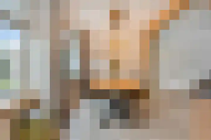 De Boogerd 12 Zuilichem thumbnail 15