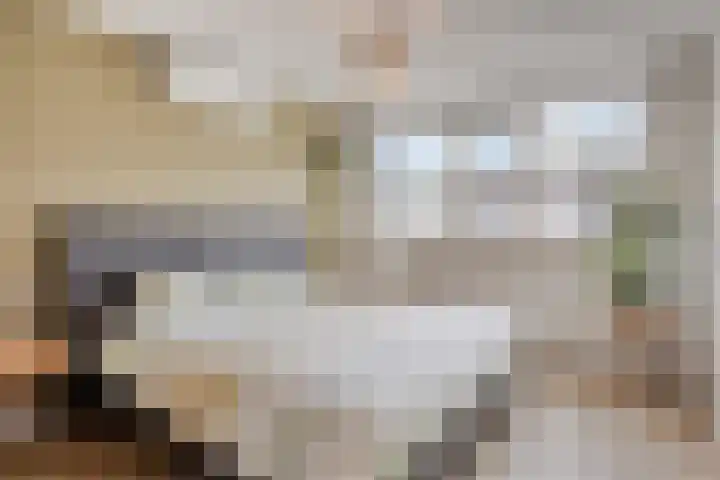 De Boogerd 12 Zuilichem thumbnail 19