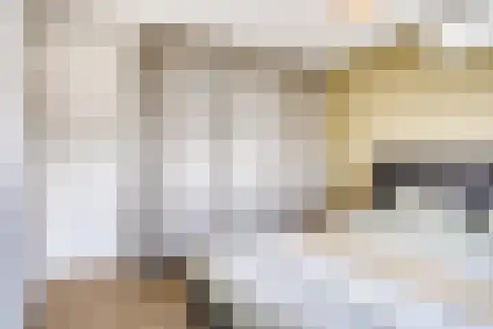 De Boogerd 12 Zuilichem thumbnail 20