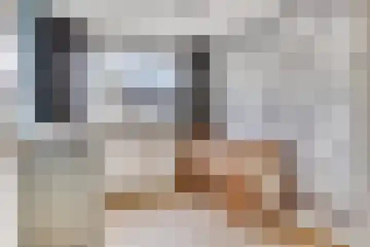 De Boogerd 12 Zuilichem thumbnail 25