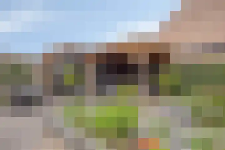 De Boogerd 12 Zuilichem thumbnail 30