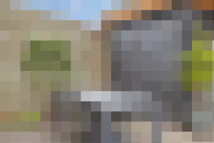 De Boogerd 12 Zuilichem thumbnail 31