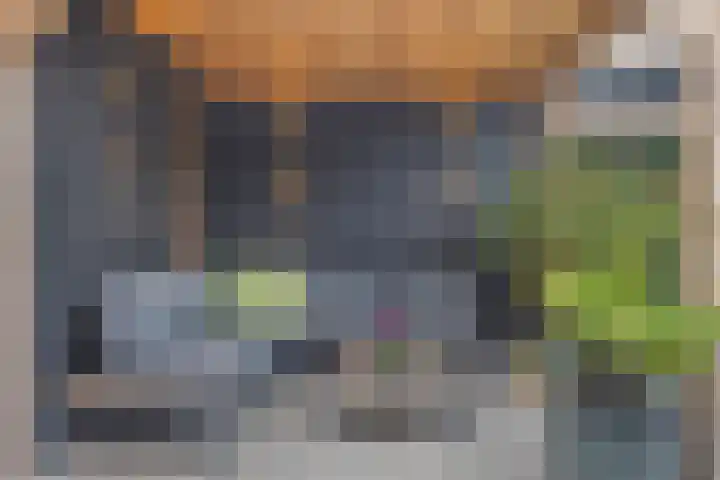 De Boogerd 12 Zuilichem thumbnail 33