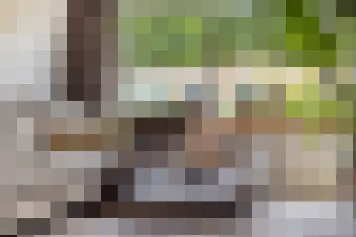 De Boogerd 12 Zuilichem thumbnail 9