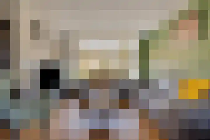 De Boogerd 29 Zuilichem thumbnail 10
