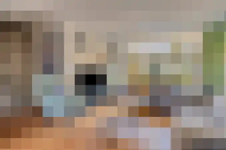 De Boogerd 29 Zuilichem thumbnail 11