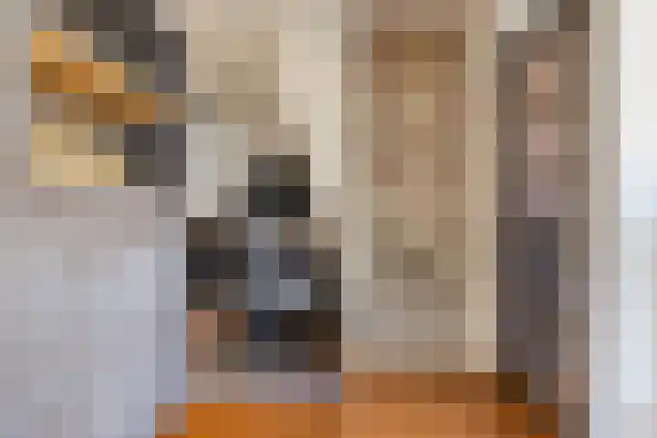 De Boogerd 29 Zuilichem thumbnail 12