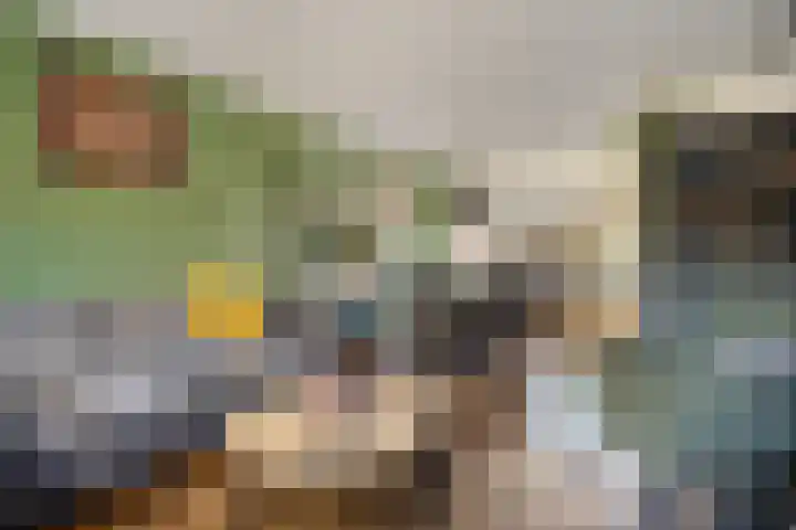 De Boogerd 29 Zuilichem thumbnail 14