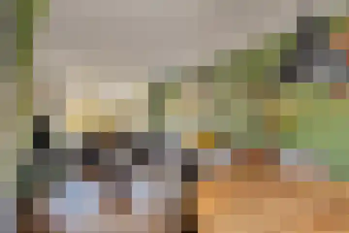 De Boogerd 29 Zuilichem thumbnail 16