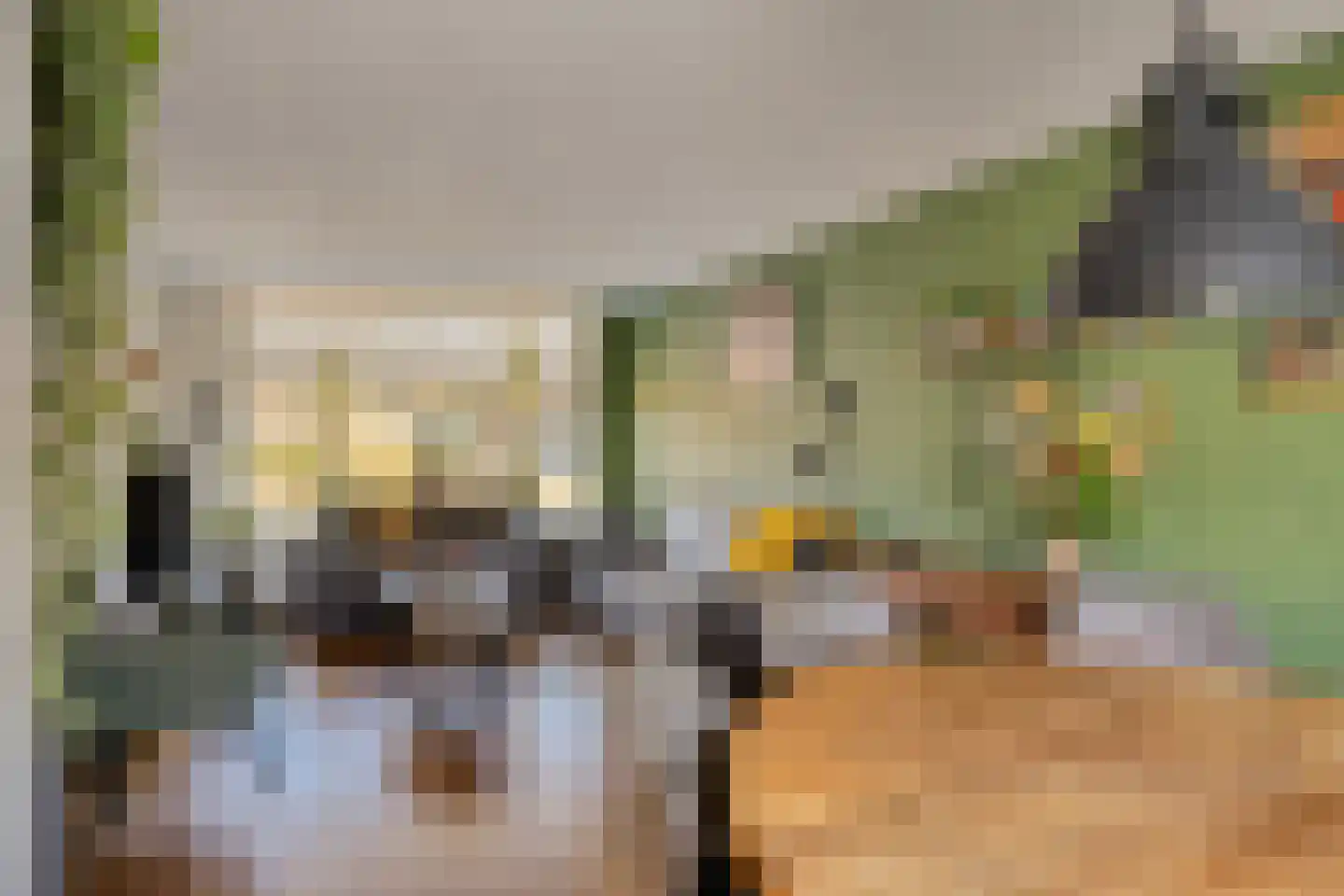 De Boogerd 29 Zuilichem thumbnail 16