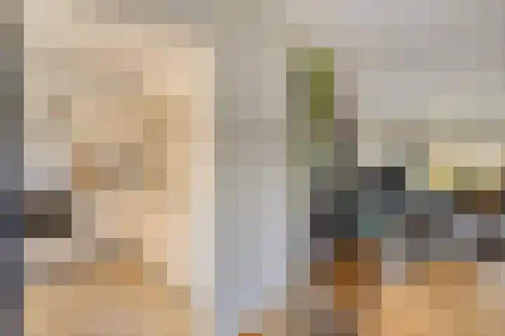 De Boogerd 29 Zuilichem thumbnail 17