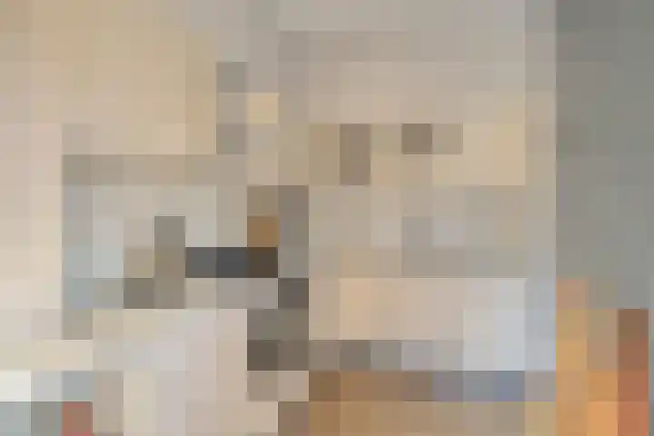 De Boogerd 29 Zuilichem thumbnail 18