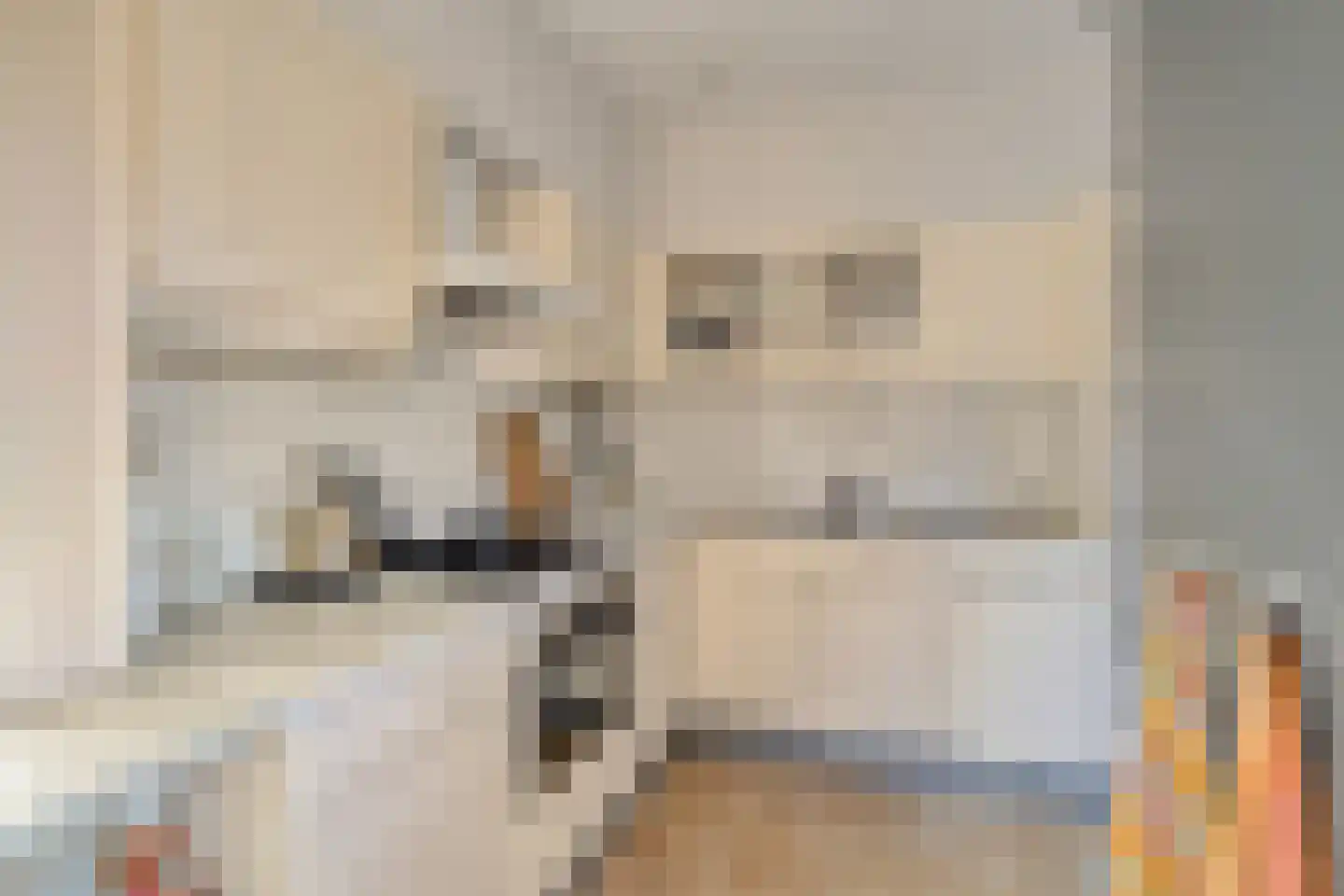 De Boogerd 29 Zuilichem thumbnail 18