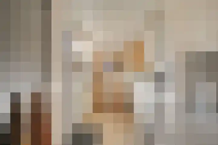 De Boogerd 29 Zuilichem thumbnail 19