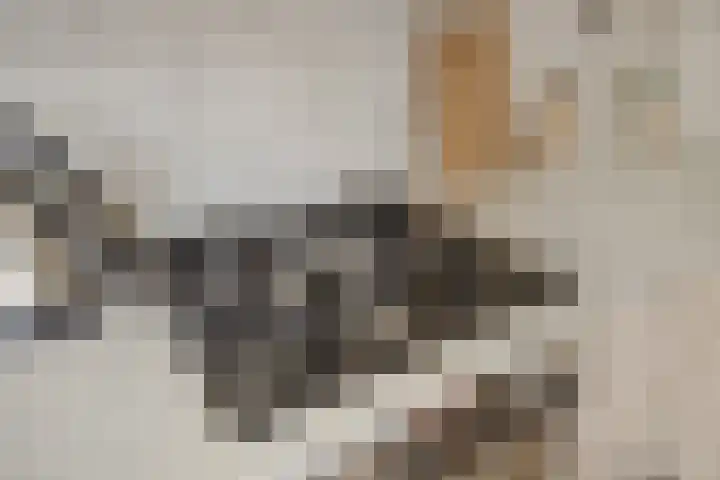 De Boogerd 29 Zuilichem thumbnail 20