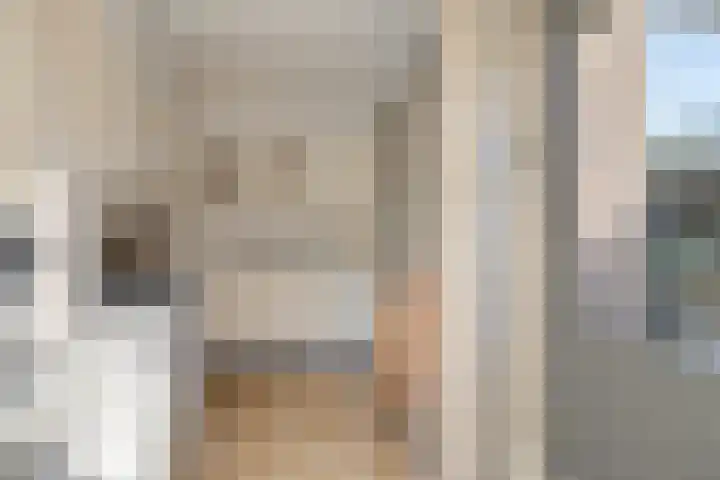 De Boogerd 29 Zuilichem thumbnail 21