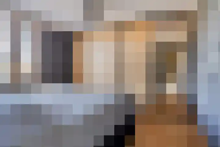 De Boogerd 29 Zuilichem thumbnail 23