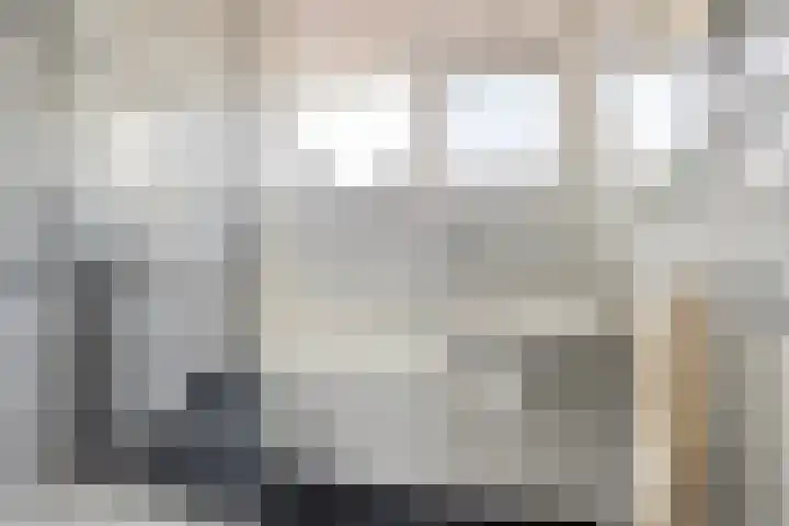 De Boogerd 29 Zuilichem thumbnail 26