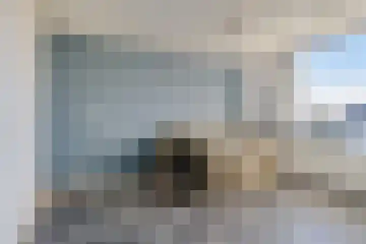 De Boogerd 29 Zuilichem thumbnail 28