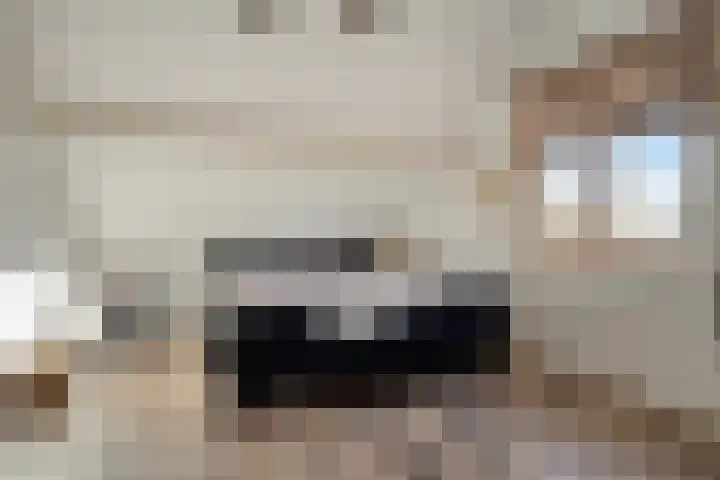 De Boogerd 29 Zuilichem thumbnail 31